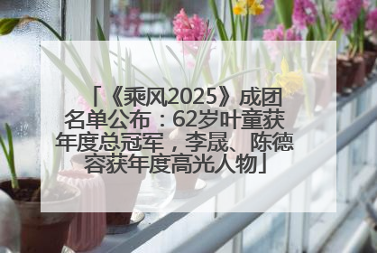 《乘风2025》成团名单公布：62岁叶童获年度总冠军，李晟、陈德容获年度高光人物
