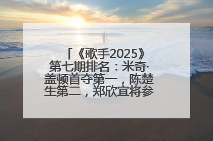 《歌手2025》第七期排名：米奇·盖顿首夺第一，陈楚生第二，郑欣宜将参加下一轮张榜赛