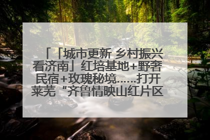 「城市更新 乡村振兴看济南」红培基地+野奢民宿+玫瑰秘境……打开莱芜“齐鲁情映山红片区”的破圈秘籍