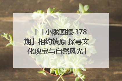 「小陇画报·378期」相约镇原 探寻文化瑰宝与自然风光