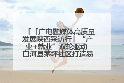 「广电融媒体高质量发展陕西采访行」“产业+就业”双轮驱动 白河县茅坪社区打造易地搬迁后扶新样本