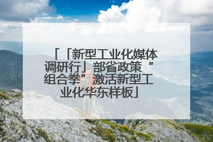 「新型工业化媒体调研行」部省政策“组合拳”激活新型工业化华东样板