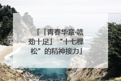 「青春华章·赣劲十足」“十七棵松”的精神接力