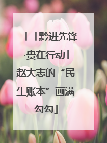 「黔进先锋·贵在行动」赵大志的“民生账本”画满勾勾