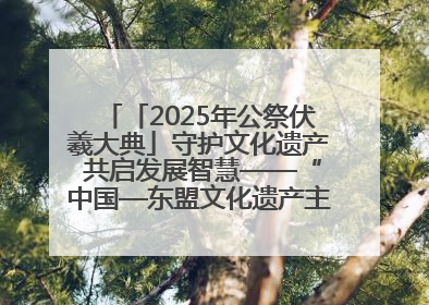 「2025年公祭伏羲大典」守护文化遗产 共启发展智慧——“中国—东盟文化遗产主题对话”侧记