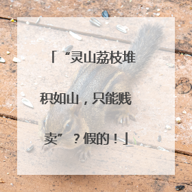 “灵山荔枝堆积如山，只能贱卖”？假的！