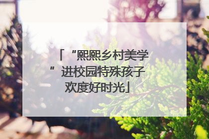 “熙熙乡村美学”进校园特殊孩子欢度好时光