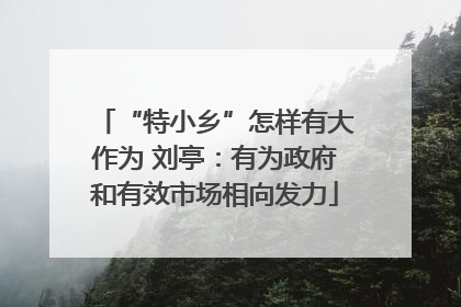 “特小乡”怎样有大作为 刘亭：有为政府和有效市场相向发力