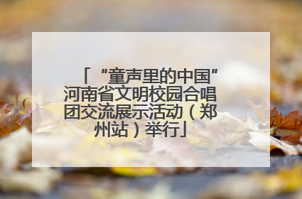 “童声里的中国”河南省文明校园合唱团交流展示活动（郑州站）举行