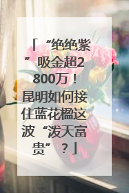 “绝绝紫”吸金超2800万！昆明如何接住蓝花楹这波“泼天富贵”？