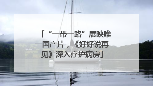 “一带一路”展映唯一国产片，《好好说再见》深入疗护病房