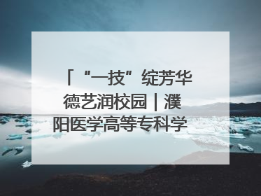 “一技”绽芳华 德艺润校园｜濮阳医学高等专科学校开展丰富多彩的职业教育活动周主题活动