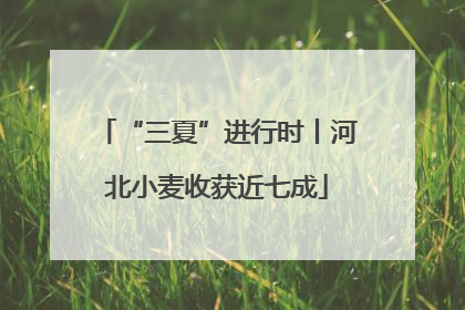 “三夏”进行时丨河北小麦收获近七成