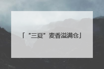 “三夏”麦香溢满仓