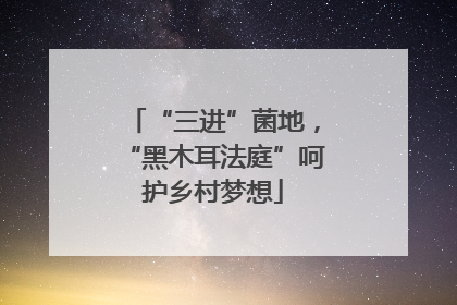“三进”菌地，“黑木耳法庭”呵护乡村梦想
