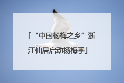 “中国杨梅之乡”浙江仙居启动杨梅季