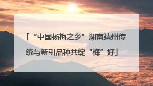 “中国杨梅之乡”湖南靖州传统与新引品种共绽“梅”好
