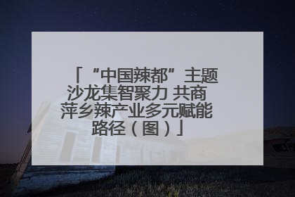 “中国辣都”主题沙龙集智聚力 共商萍乡辣产业多元赋能路径（图）