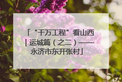 “千万工程”看山西｜运城篇（之二）——永济市东开张村