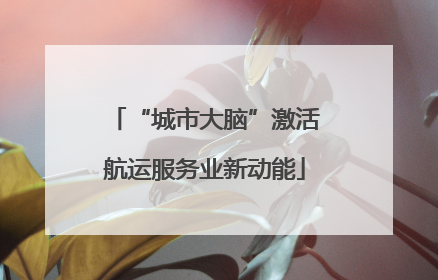 “城市大脑”激活航运服务业新动能