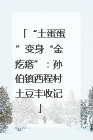 “土蛋蛋”变身“金疙瘩”：孙伯镇西程村土豆丰收记