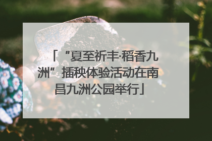 “夏至祈丰·稻香九洲”插秧体验活动在南昌九洲公园举行