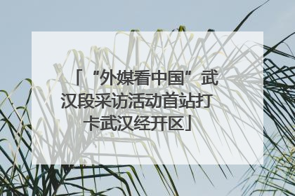 “外媒看中国”武汉段采访活动首站打卡武汉经开区