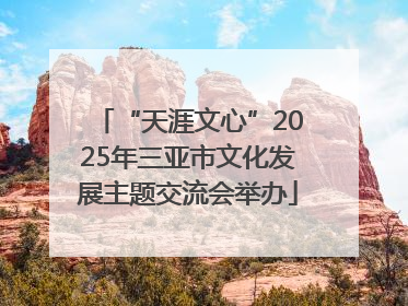 “天涯文心”2025年三亚市文化发展主题交流会举办