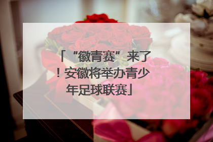 “徽青赛”来了！安徽将举办青少年足球联赛