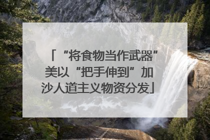 “将食物当作武器” 美以“把手伸到”加沙人道主义物资分发