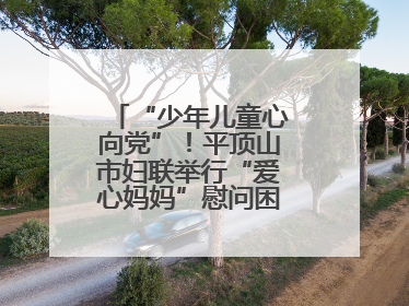 “少年儿童心向党”！平顶山市妇联举行“爱心妈妈”慰问困境儿童活动