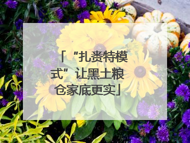 “扎赉特模式”让黑土粮仓家底更实