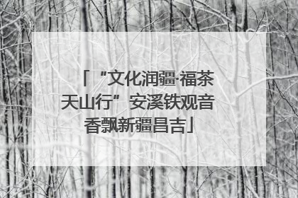 “文化润疆·福茶天山行”安溪铁观音香飘新疆昌吉