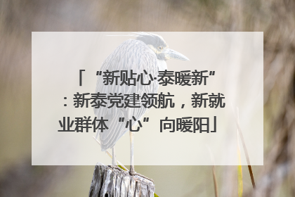 “新贴心·泰暖新”：新泰党建领航，新就业群体“心”向暖阳