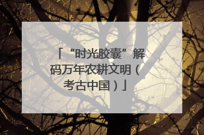 “时光胶囊”解码万年农耕文明（考古中国）