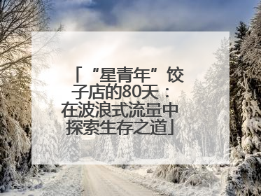 “星青年”饺子店的80天：在波浪式流量中探索生存之道