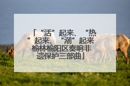“活”起来、“热”起来、“潮”起来 榆林榆阳区奏响非遗保护三部曲