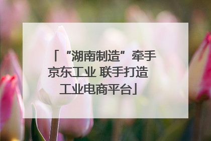 “湖南制造”牵手京东工业 联手打造工业电商平台