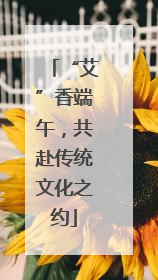 “艾”香端午，共赴传统文化之约