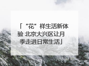 “花”样生活新体验 北京大兴区让月季走进日常生活
