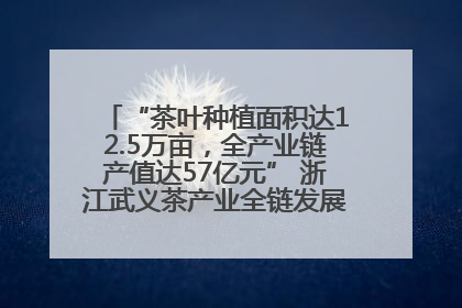 “茶叶种植面积达12.5万亩，全产业链产值达57亿元” 浙江武义茶产业全链发展“加速度”