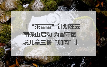 “茶苗苗”计划在云南保山启动 为留守困境儿童三餐“加肉”