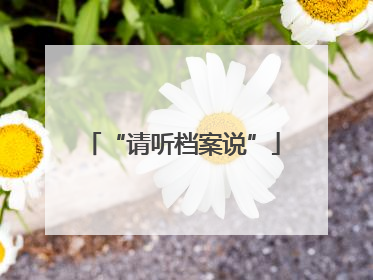 “请听档案说”