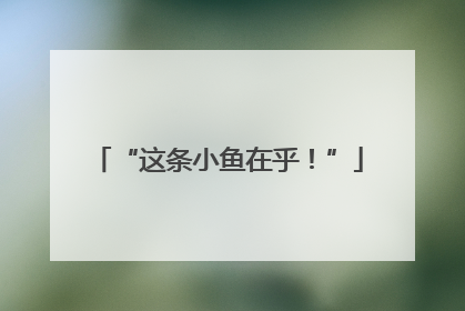 “这条小鱼在乎！”
