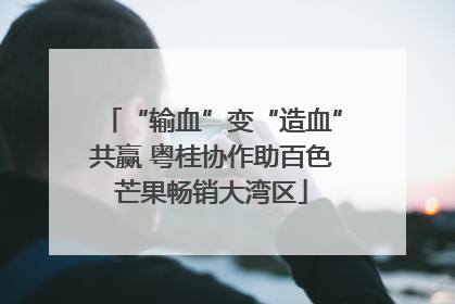 “输血”变“造血”共赢 粤桂协作助百色芒果畅销大湾区