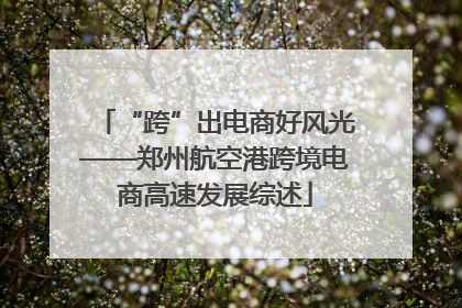 “跨”出电商好风光——郑州航空港跨境电商高速发展综述