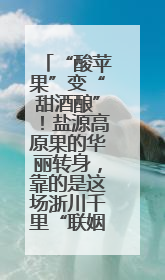 “酸苹果”变“甜酒酿”！盐源高原果的华丽转身，靠的是这场浙川千里“联姻”