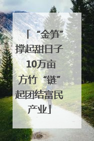 “金笋”撑起甜日子 10万亩方竹“链”起团结富民产业