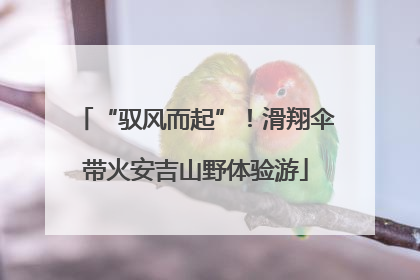 “驭风而起”！滑翔伞带火安吉山野体验游