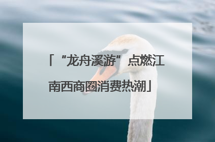 “龙舟溪游”点燃江南西商圈消费热潮